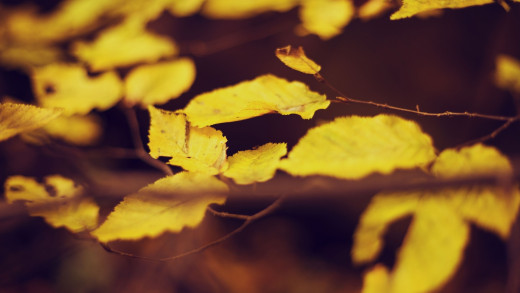 1082355 (a): :1920x1080
